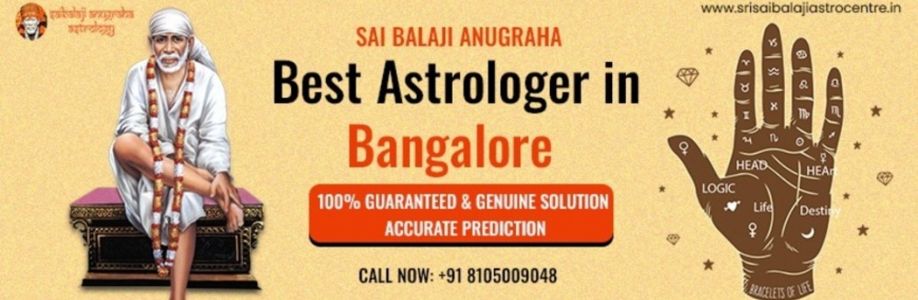 Srisaibalaji Astrocentre Cover Image