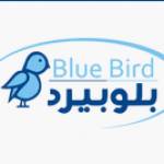 Bluebird Toys Profile Picture