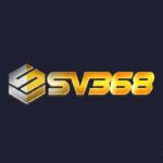 Sv368 Profile Picture