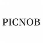 Picnob SEO Profile Picture