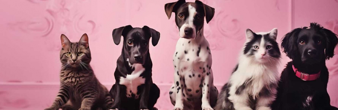 Oh My Pet Grooming Cover Image