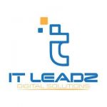 IT Leadz Profile Picture