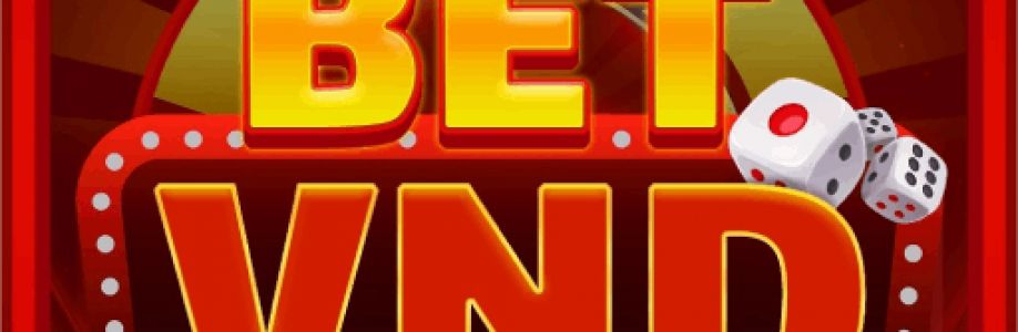 betvnd game Cover Image