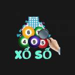 Dự đoán XSMB Profile Picture