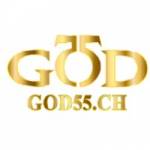 god55 ch Profile Picture