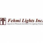 fehmi lights Profile Picture