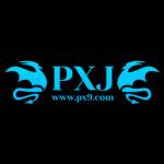 PXJ Profile Picture