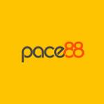 Pace88 win Profile Picture