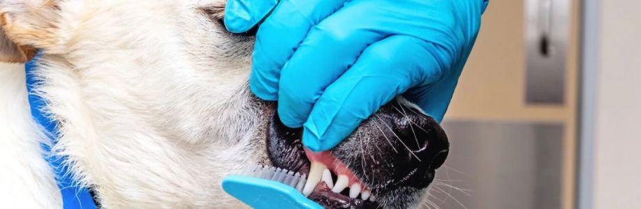 Veterinary Dental Care Cover Image
