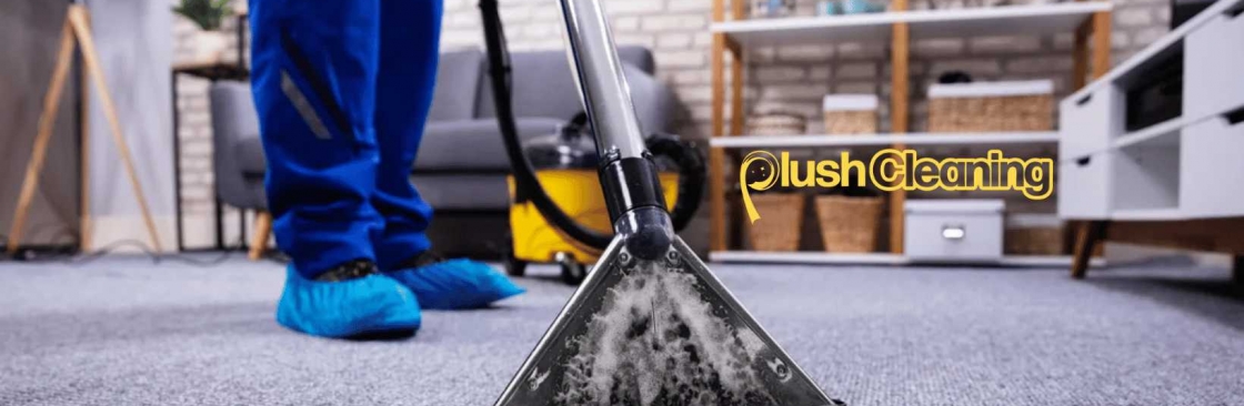 Plush Cleaning Cover Image