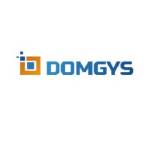 Domgys India Profile Picture