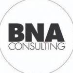 BNA Consulting Profile Picture