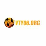 vty06 org Profile Picture