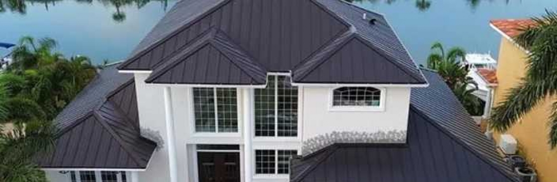 The Roof Doctor Cover Image