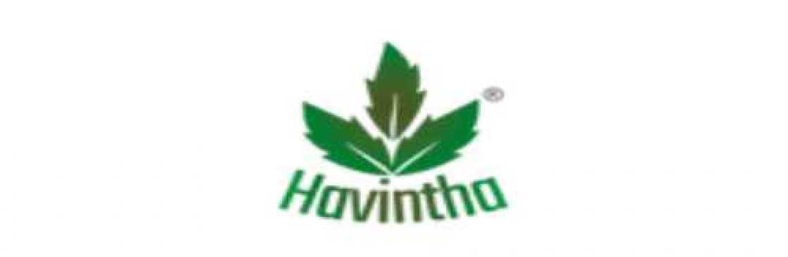 Havintha Official Cover Image