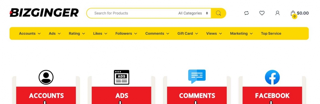 Bizginger Cover Image