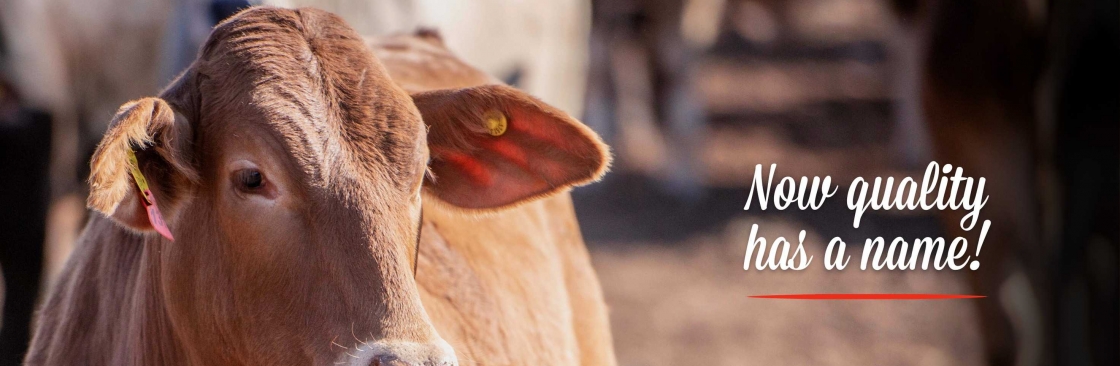 Karan Beef Cover Image