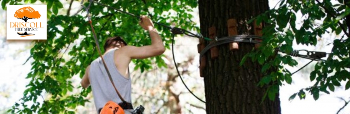 Driscoll Tree Service Cover Image