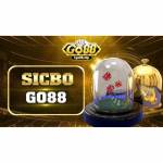 sicbo go88 Profile Picture