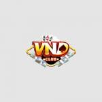 Vndclub club Profile Picture