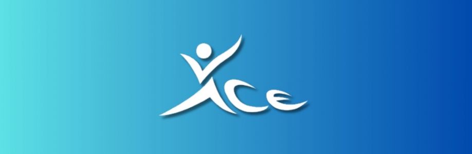 Ace Volleyball Academy Cover Image