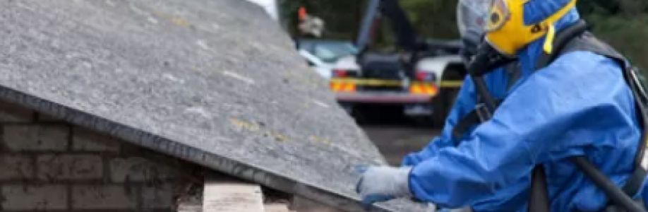 BreathEasy Asbestos Removal Cover Image