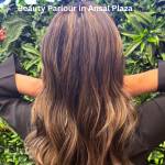 eikonsalon Profile Picture