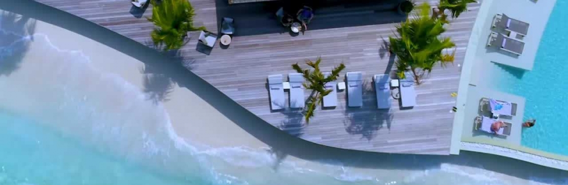 Silver Wing Cover Image