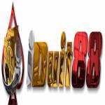 iduit88 life Profile Picture