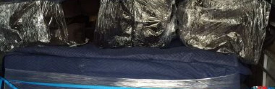 First Removalists Cover Image