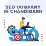 yash garg Profile Picture