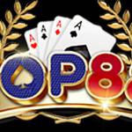 top88 netco Profile Picture