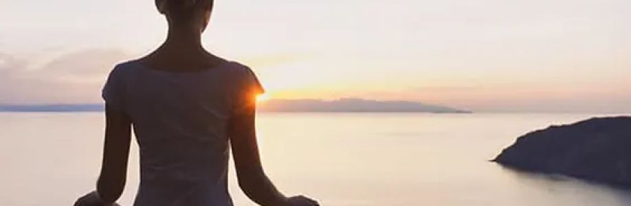 Flushing Meditation Cover Image