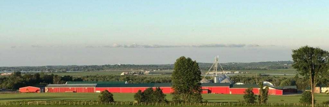 Gwillimdale Farms Cover Image