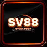 SV88 Prof Profile Picture