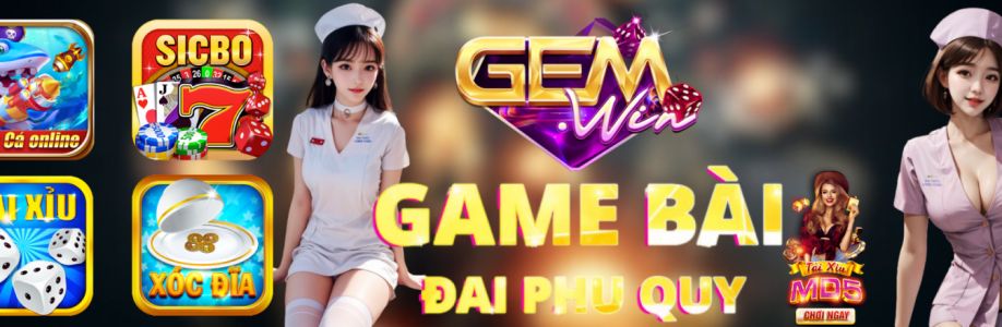 Gemwin net Cover Image