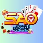 Saowin1 Profile Picture