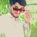 kashseo Profile Picture