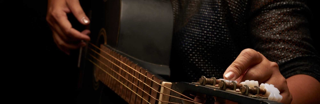 Fishers Music and Arts Academy Cover Image