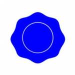 BlueNotary Profile Picture