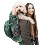 pet carriers for small dogs Profile Picture