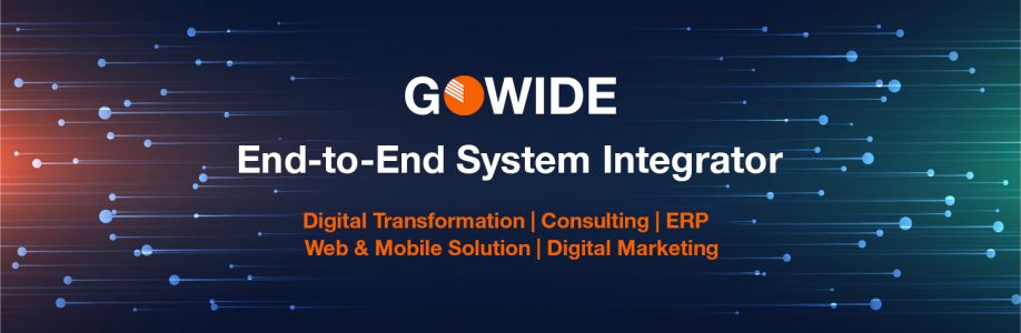 GoWide Solutions Cover Image