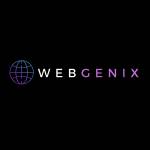 Webgenix seo Profile Picture