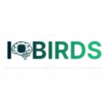 IQ BIRDS Profile Picture
