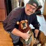 Josh Manheimer Profile Picture