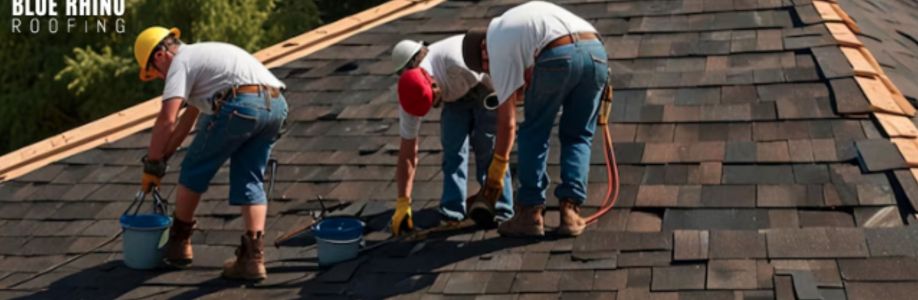 Blue Rhino Roofing Cover Image