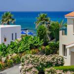 shiren Profile Picture