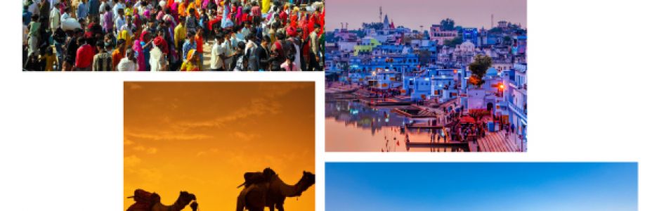 Noorindia holidays Cover Image