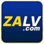 Zalv lat Profile Picture