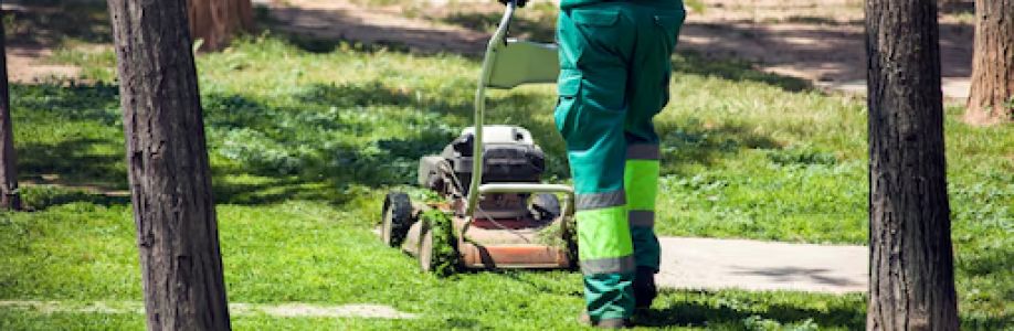 Retaining Walls and Landscaping Cover Image